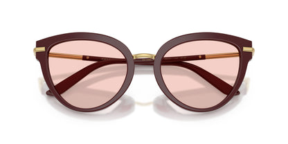 Dolse & Gabana  4492 Sunglasses