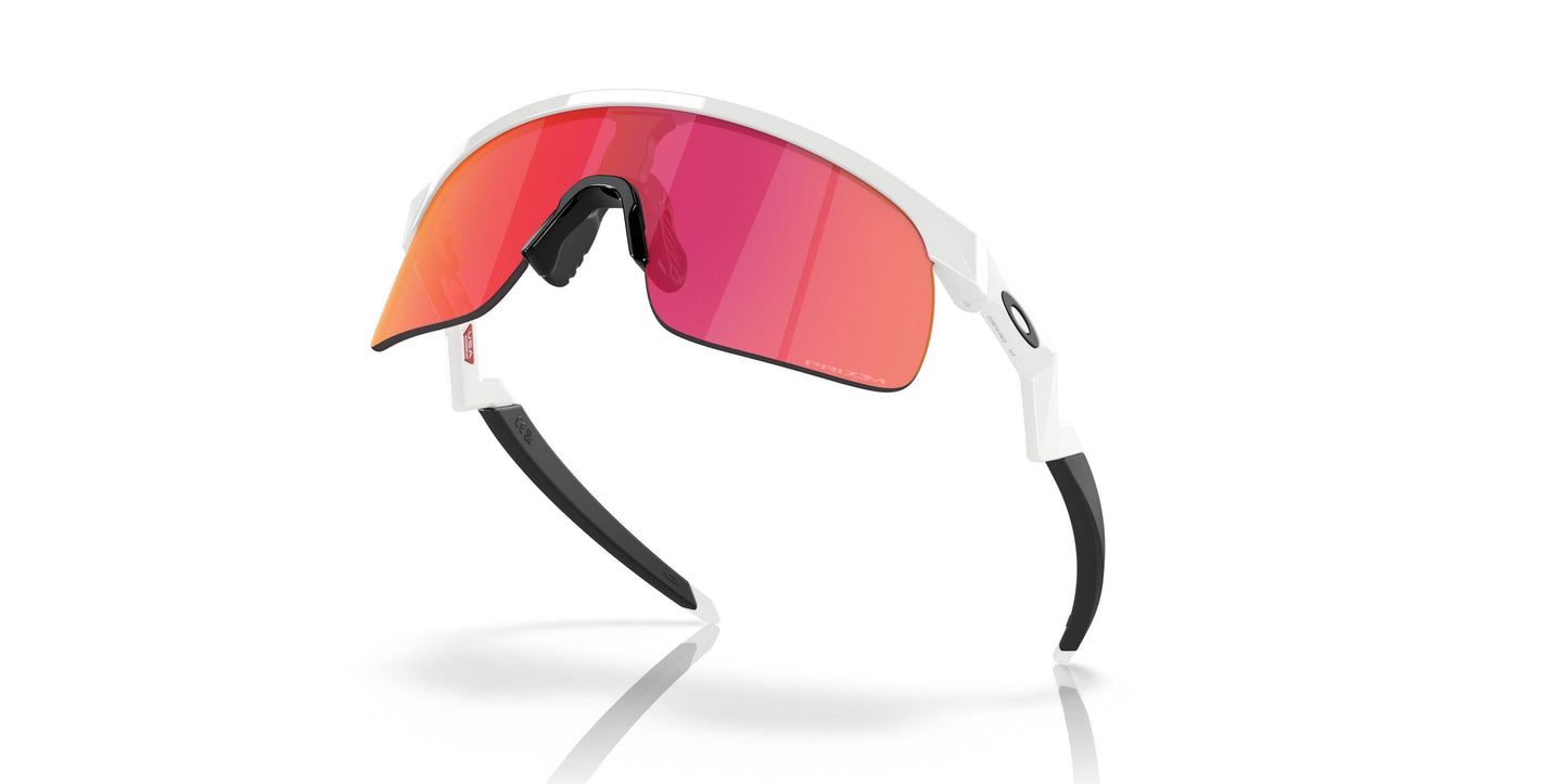 Oakley Resistor 9010 Sunglasses