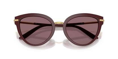 Dolse & Gabana  4492 Sunglasses