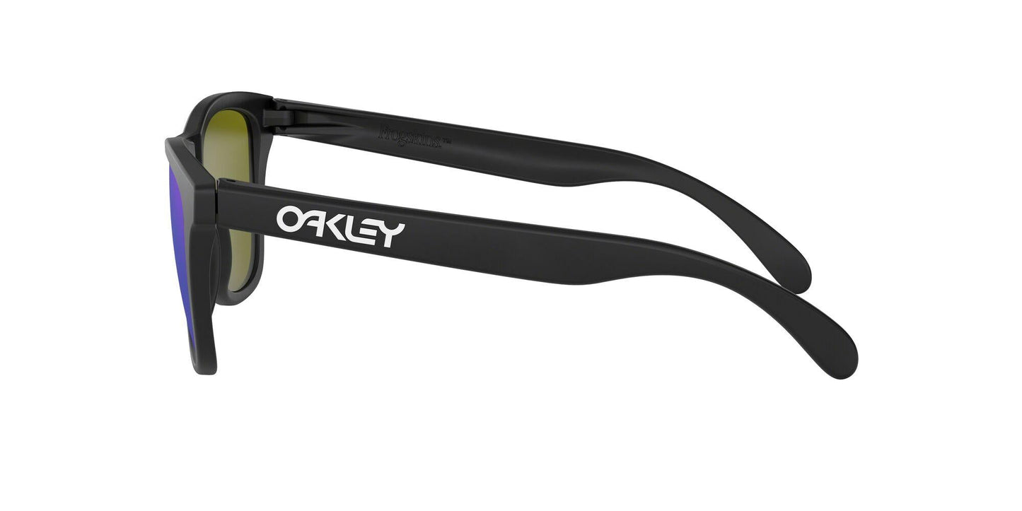 Oakley Frogskins 9013 Sunglasses