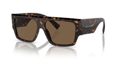 Dolse & Gabana  4459 Sunglasses