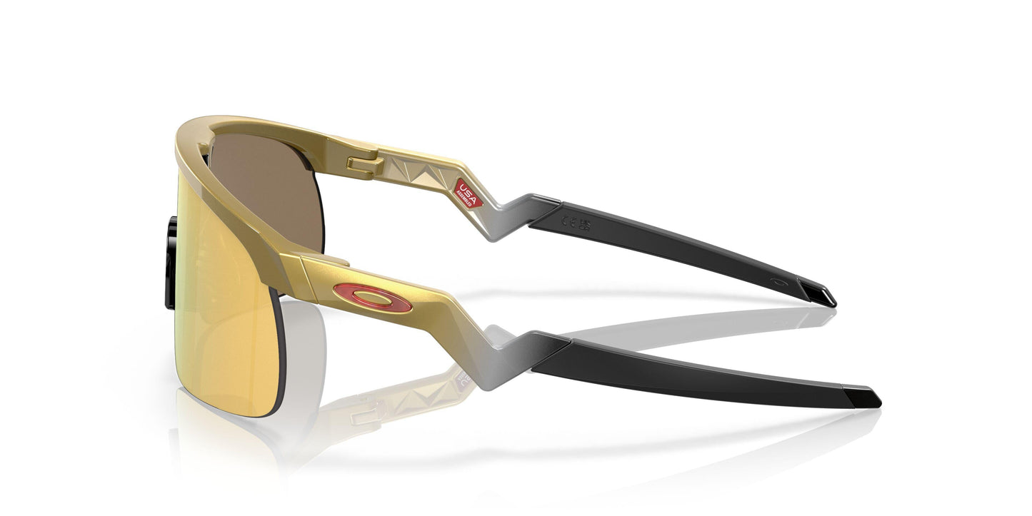 Oakley Resistor 9010 Sunglasses