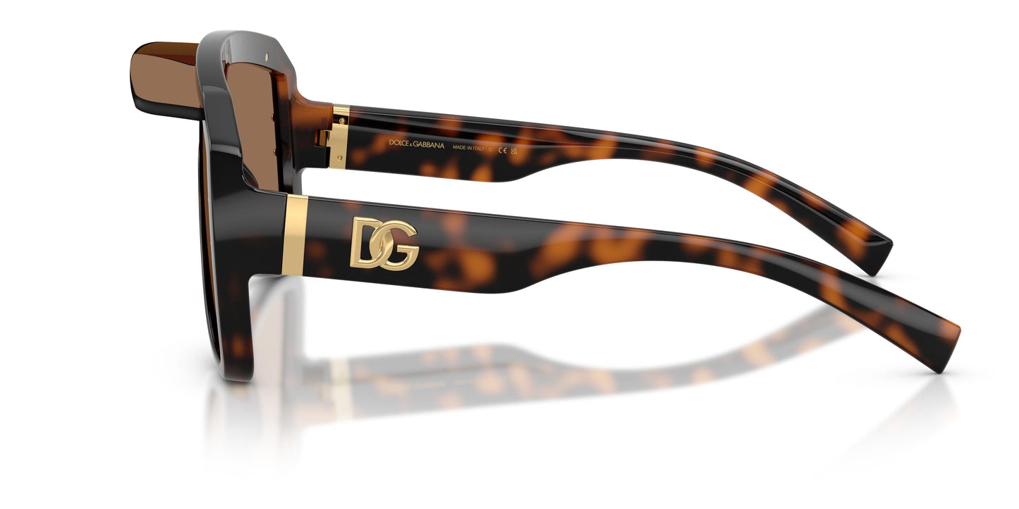 Dolse & Gabana  6205 Sunglasses