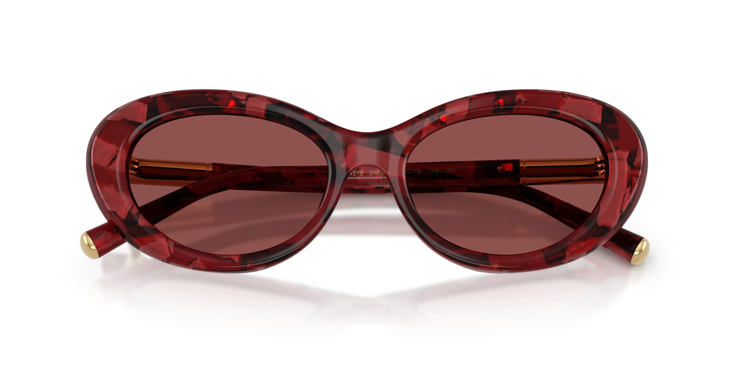 Dolse & Gabana  4519 Sunglasses