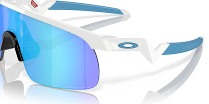 Oakley Resistor 9010 Sunglasses