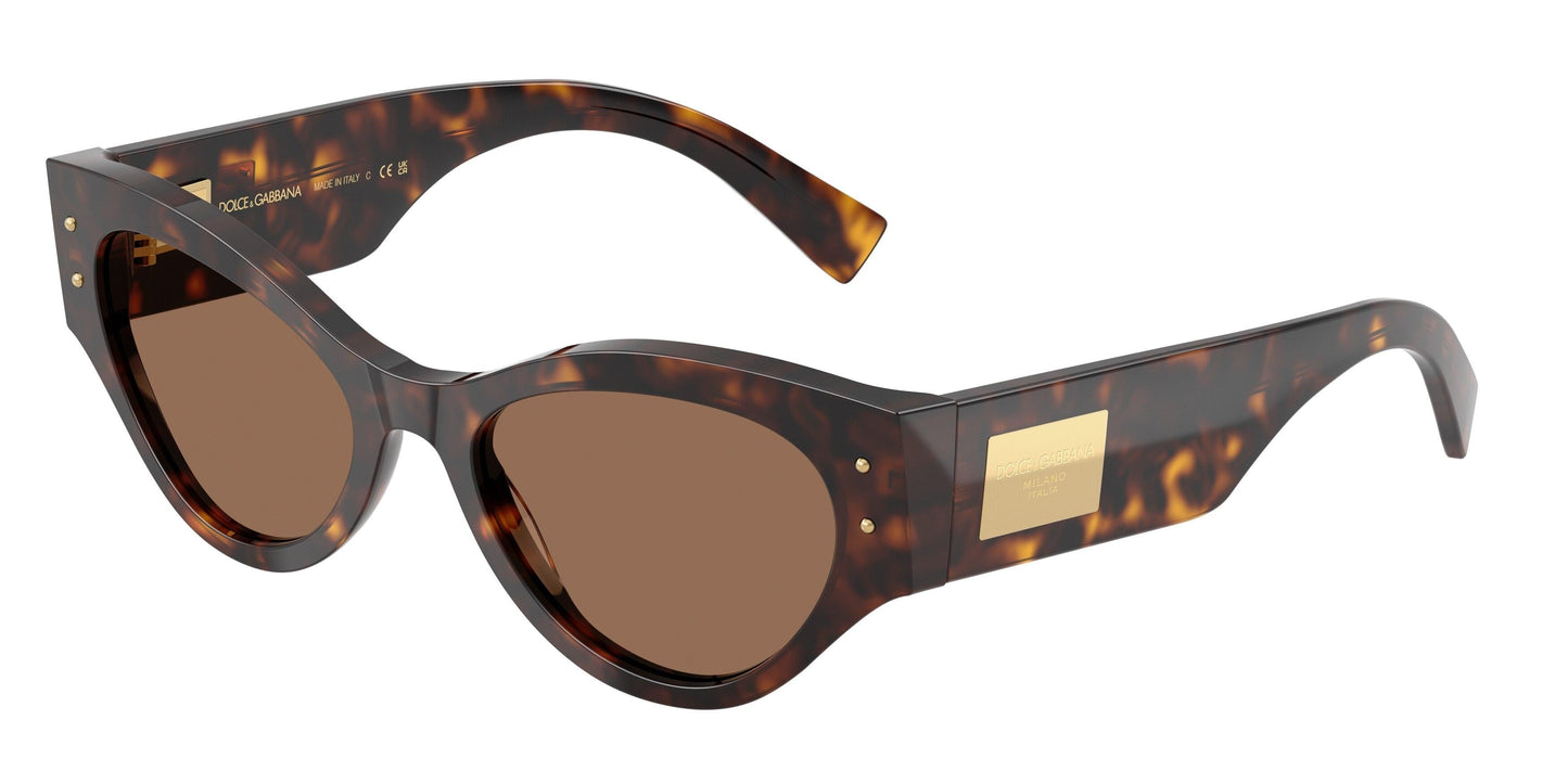 Dolse & Gabana  4480F Sunglasses