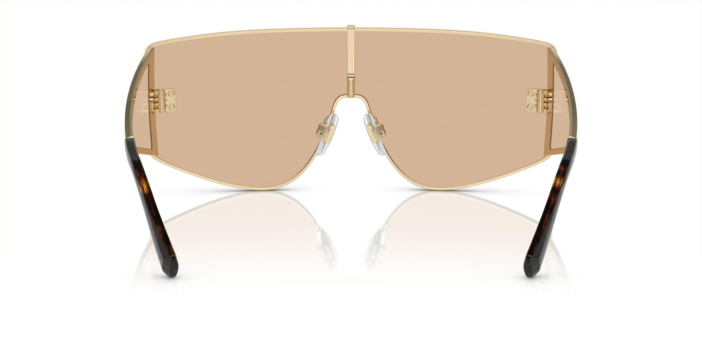 Dolse & Gabana  2305 Sunglasses