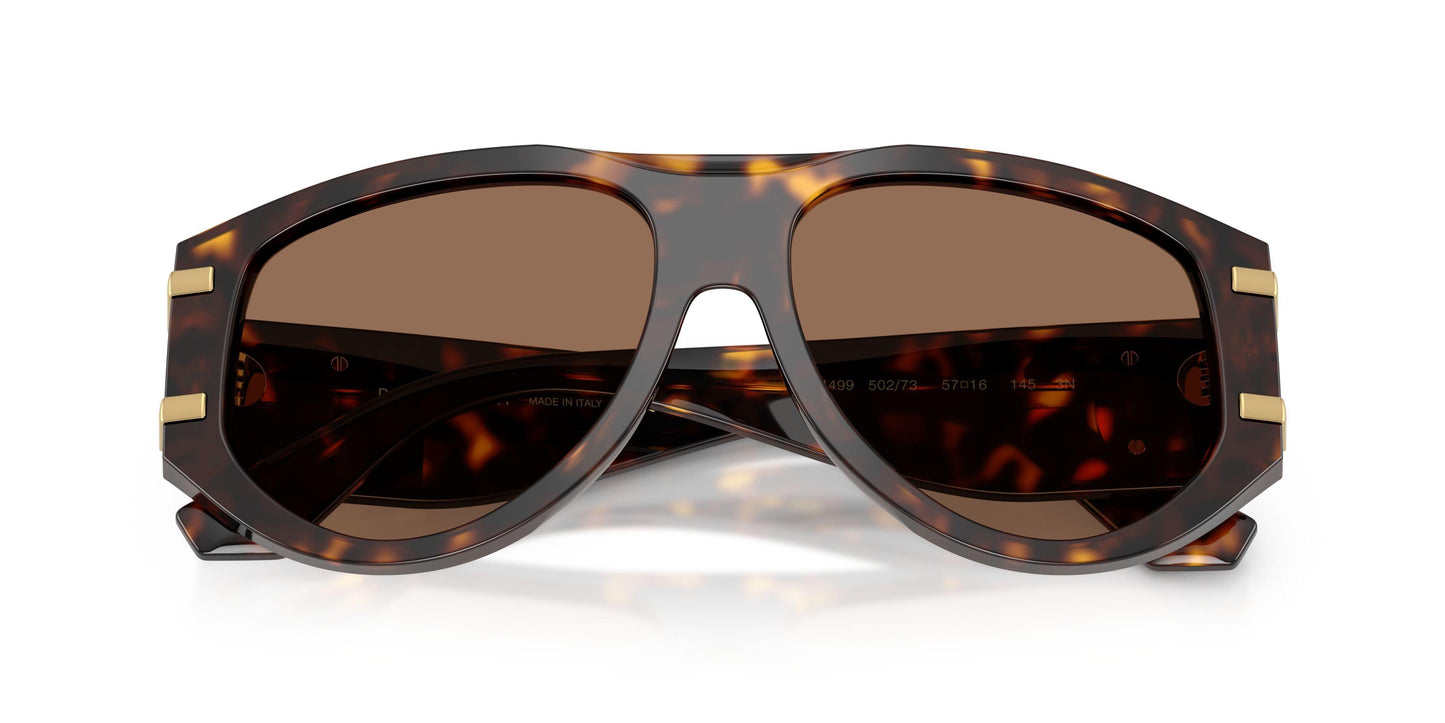 Dolse & Gabana  4499 Sunglasses