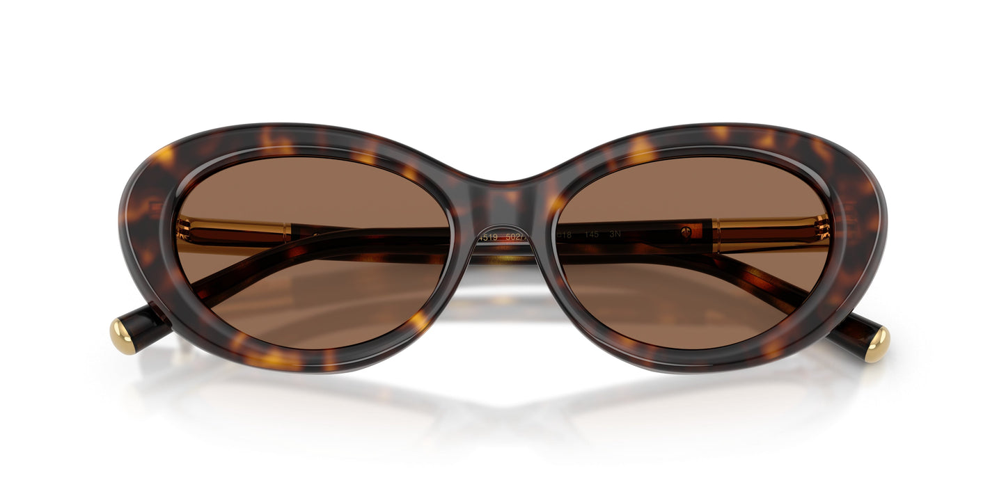 Dolse & Gabana  4519 Sunglasses