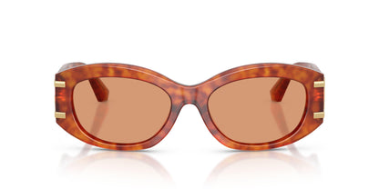 Dolse & Gabana  4502 Sunglasses