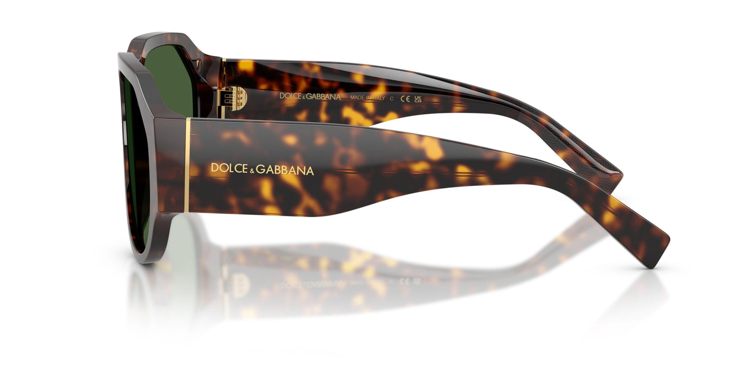 Dolse & Gabana  4504 Sunglasses