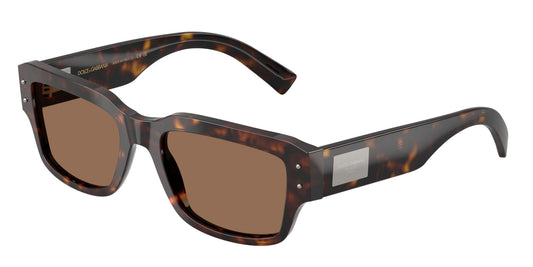Dolse & Gabana  4483 Sunglasses