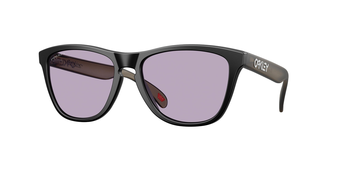 Oakley Frogskins 9245 Sunglasses