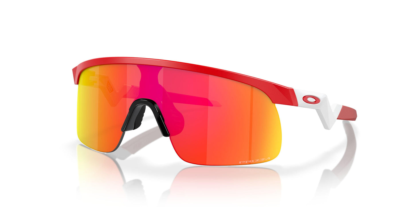 Oakley Resistor 9010 Sunglasses