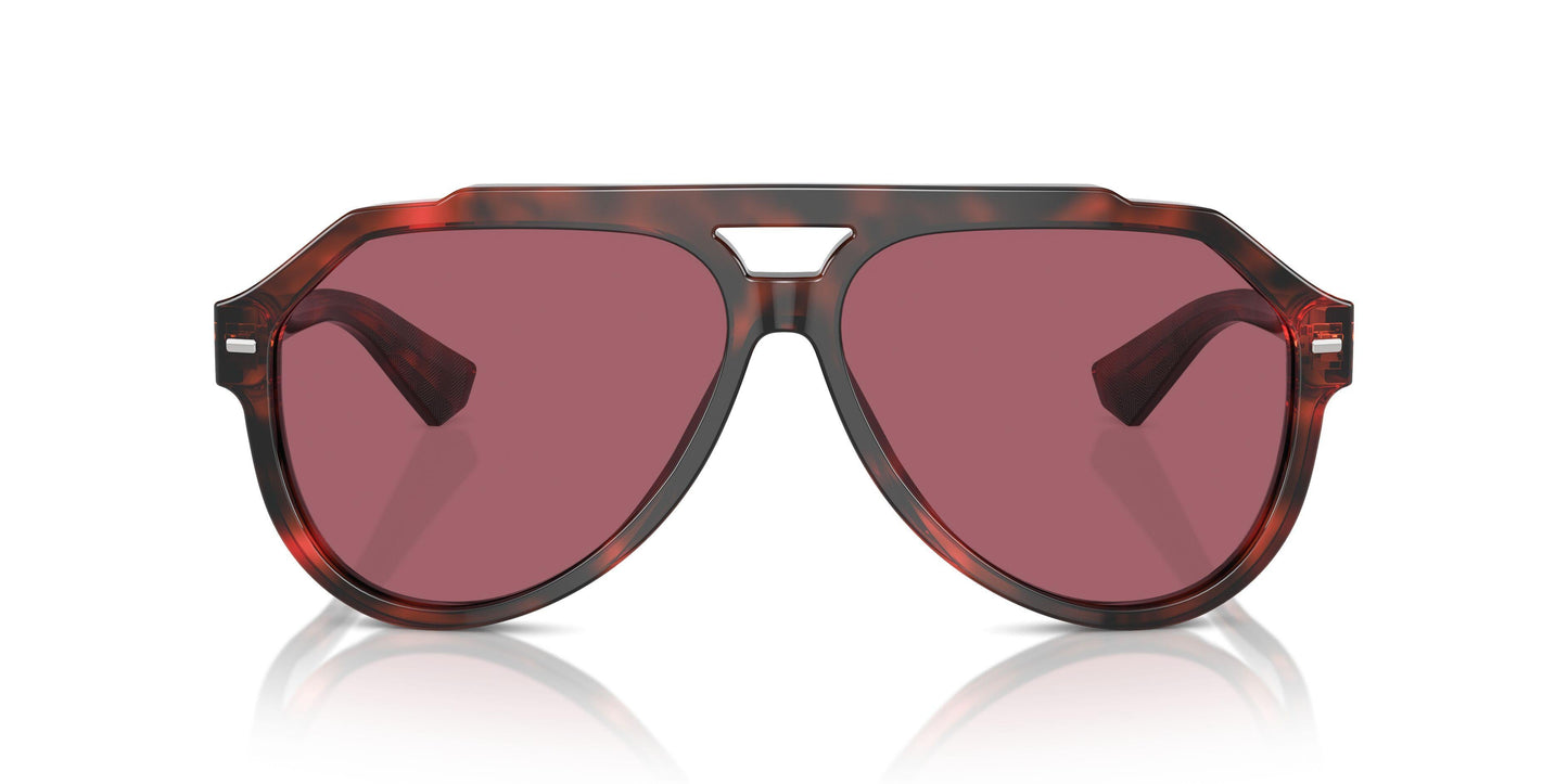 Dolse & Gabana  4452F Sunglasses