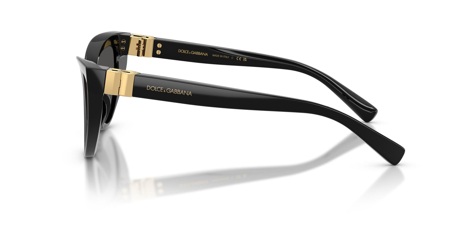 Dolse & Gabana  4497 Sunglasses