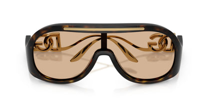 Dolse & Gabana  6202 Sunglasses