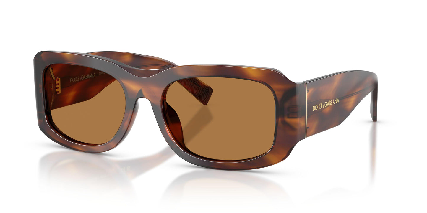 Dolse & Gabana  4503 Sunglasses