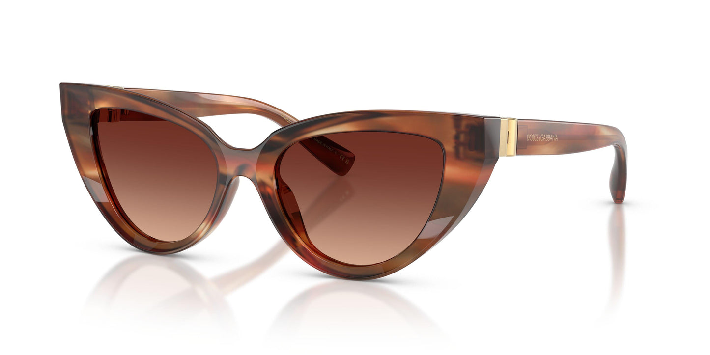 Dolse & Gabana  4497 Sunglasses