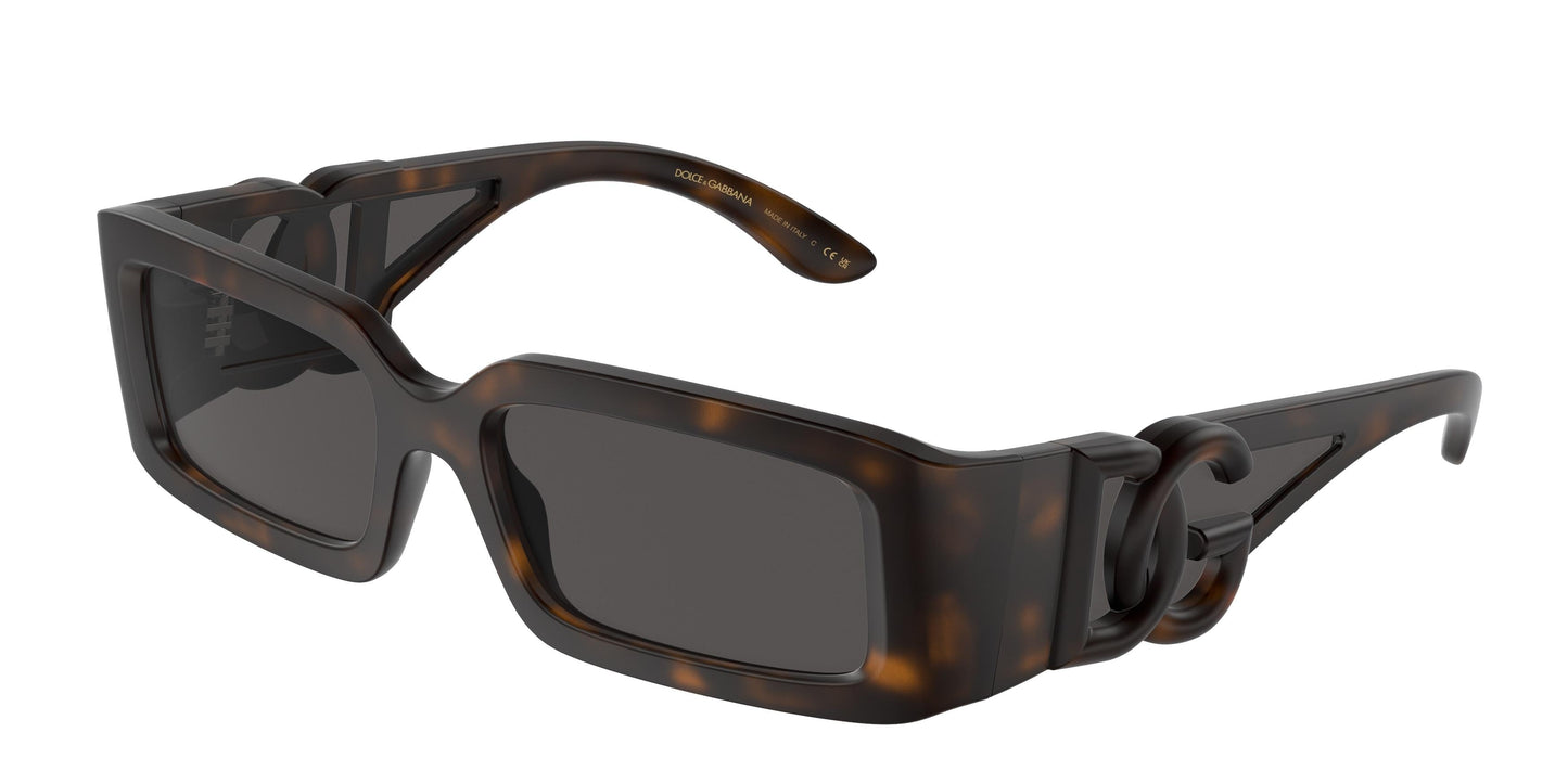 Dolse & Gabana  6197 Sunglasses