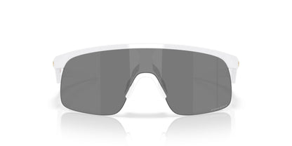 Oakley Resistor 9010 Sunglasses