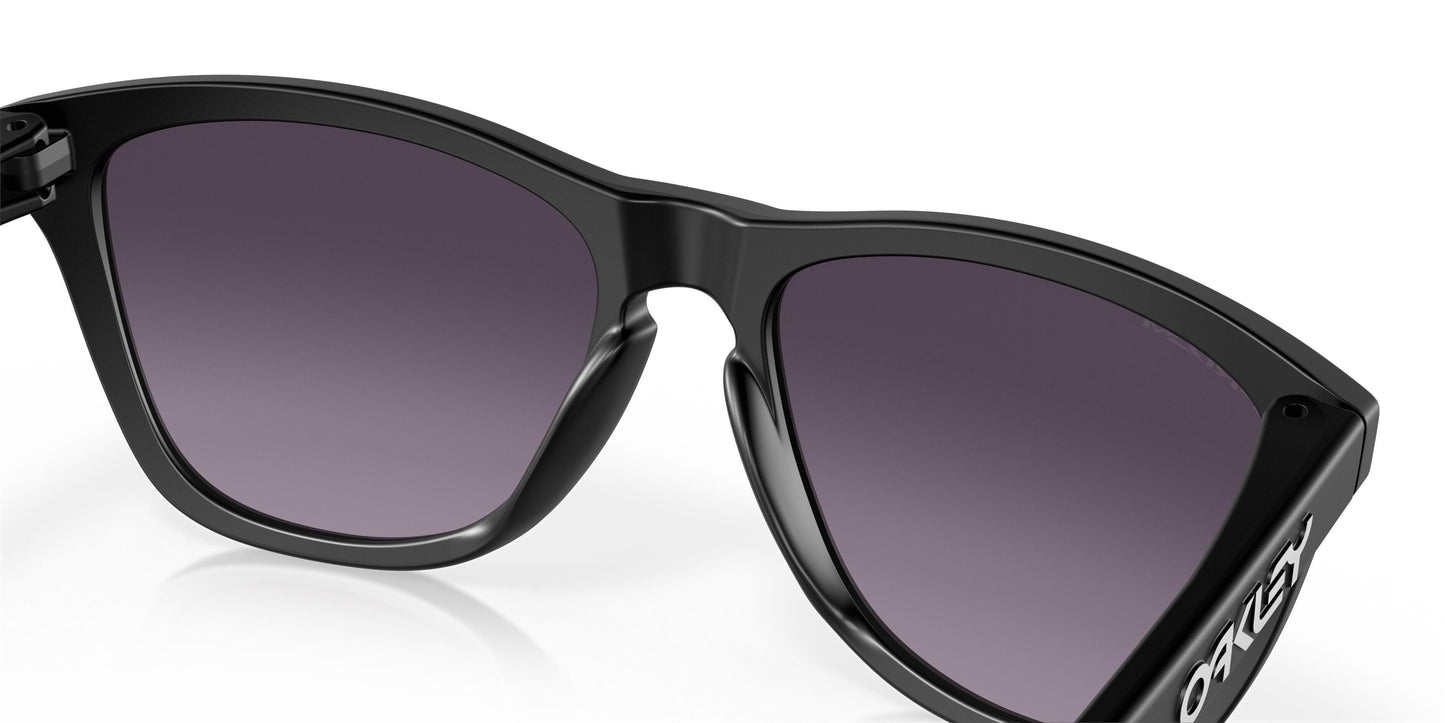 Oakley Frogskins 9245 Sunglasses