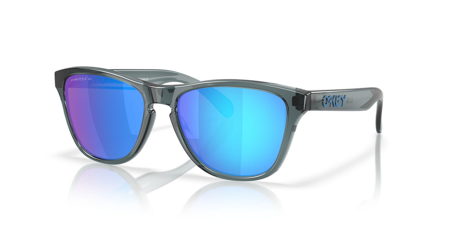 Oakley Frogskins S 9508 Sunglasses