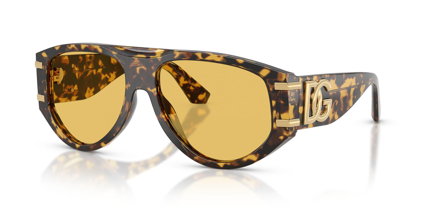 Dolse & Gabana  4499 Sunglasses