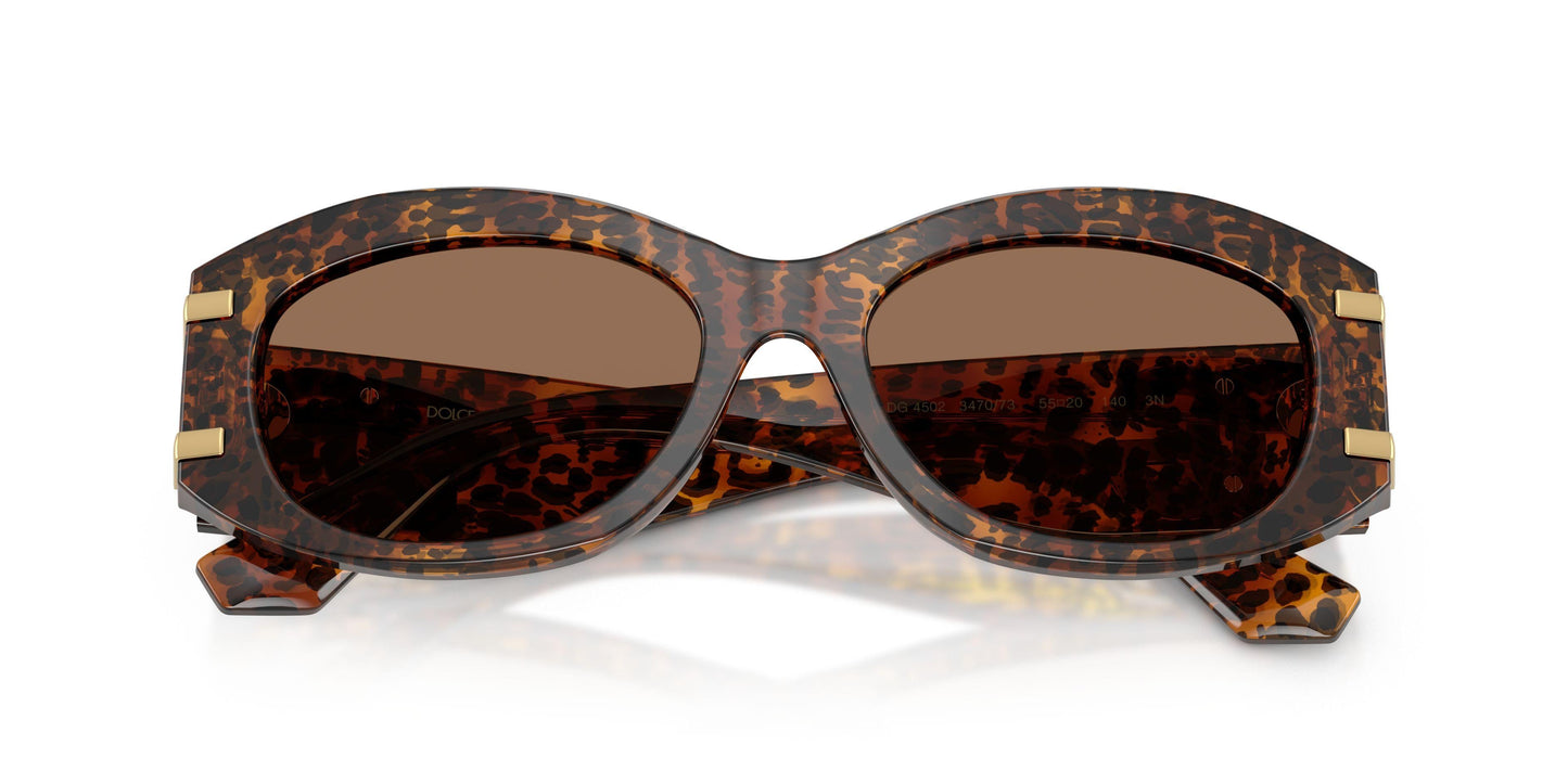 Dolse & Gabana  4502 Sunglasses