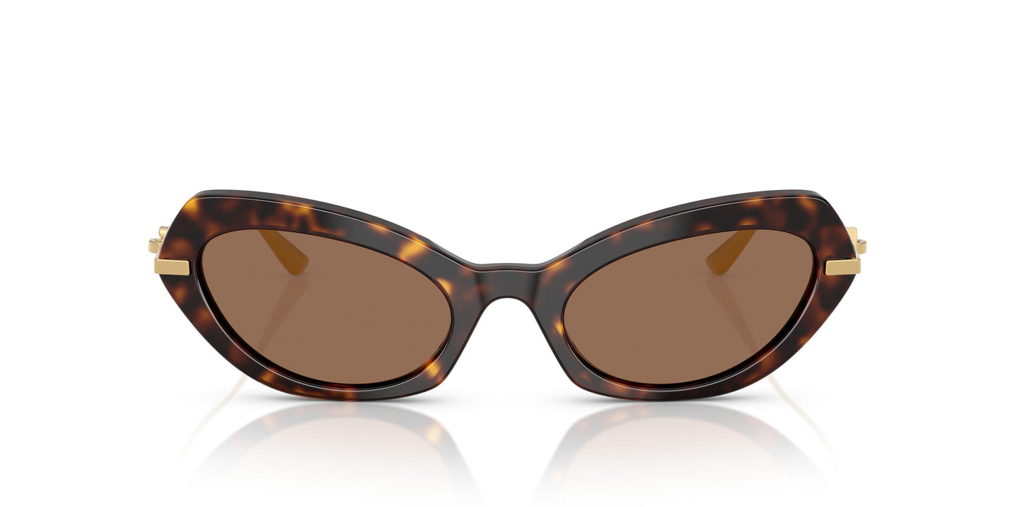 Dolse & Gabana  4473 Sunglasses
