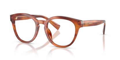 Dolse & Gabana  3421 Eyeglasses