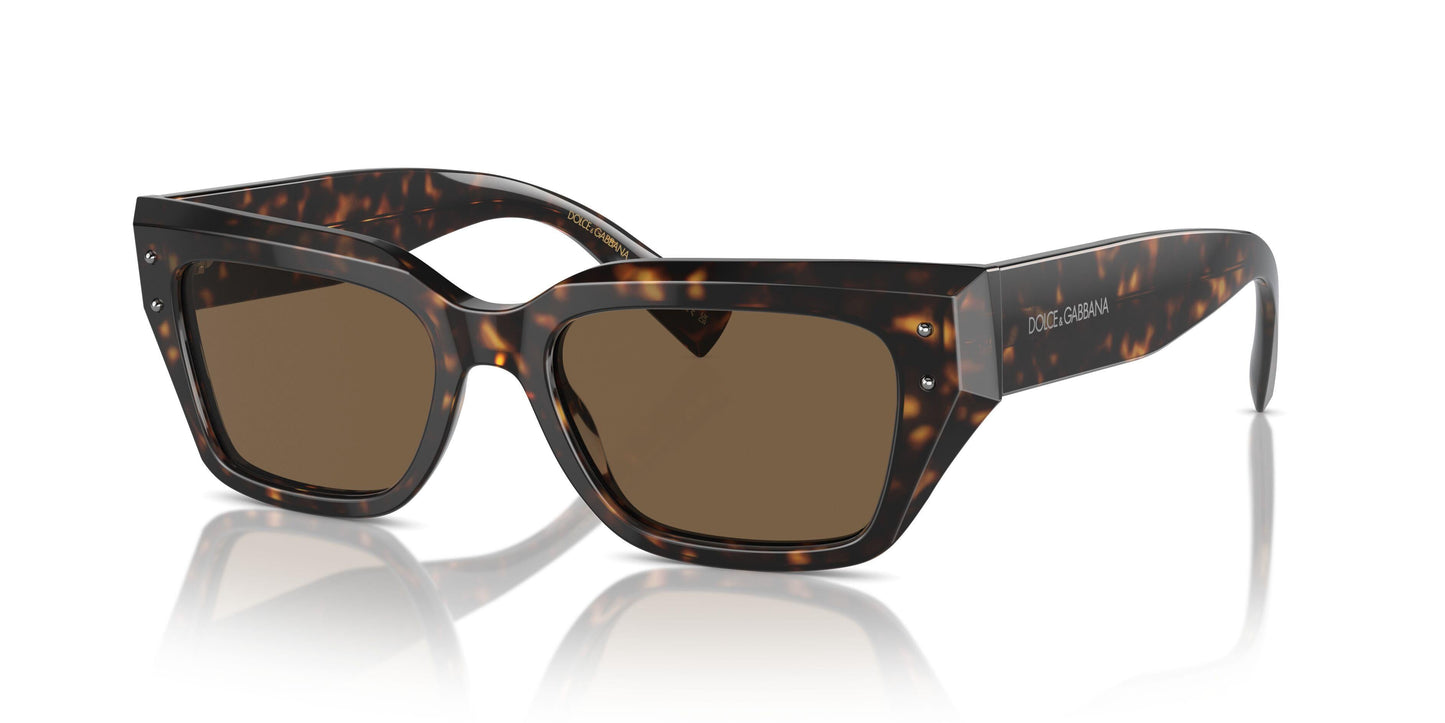 Dolse & Gabana  4462 Sunglasses