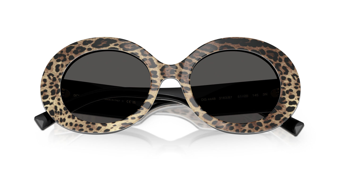 Dolse & Gabana  4448 Sunglasses