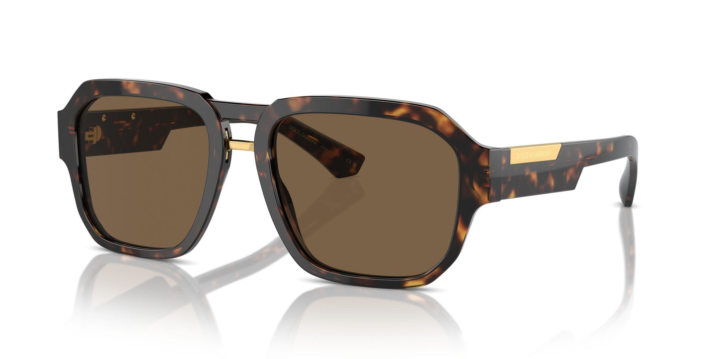 Dolse & Gabana  4464 Sunglasses