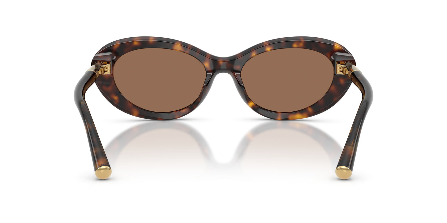 Dolse & Gabana  4519 Sunglasses