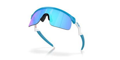 Oakley Resistor 9010 Sunglasses