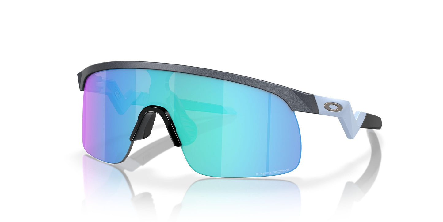 Oakley Resistor 9010 Sunglasses