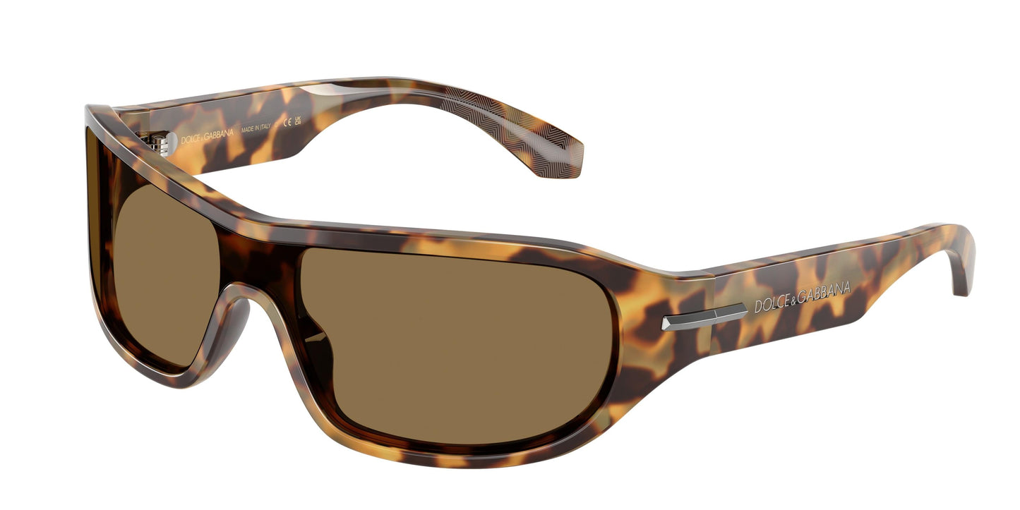 Dolse & Gabana  4486 Sunglasses