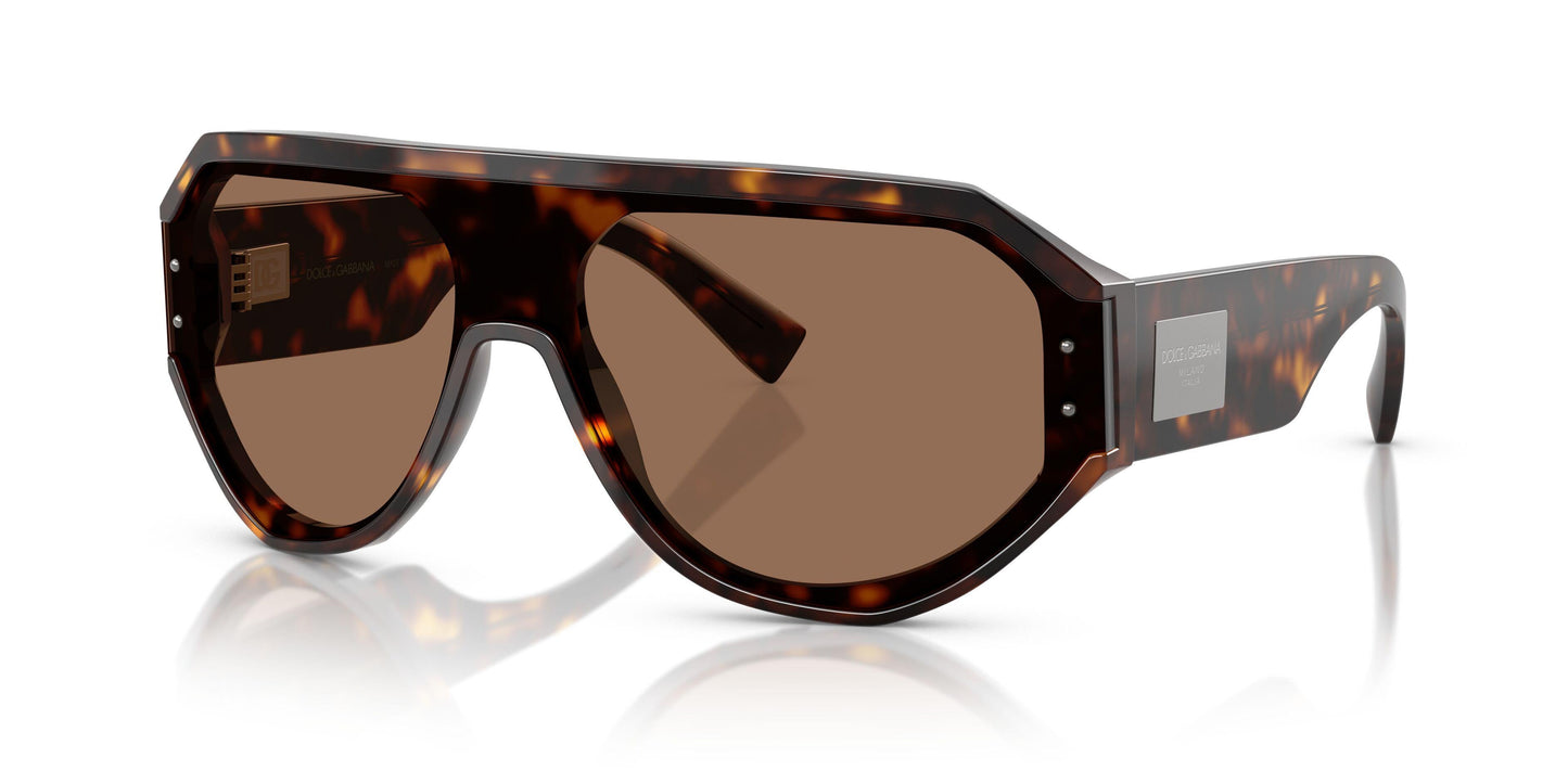 Dolse & Gabana  4481 Sunglasses