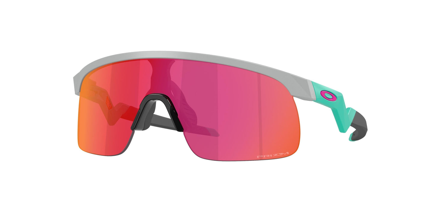 Oakley Resistor 9010 Sunglasses