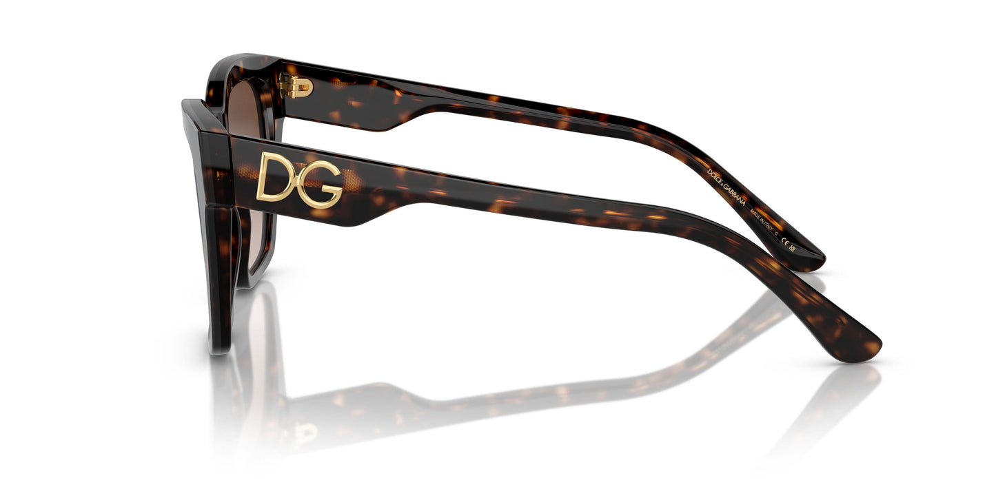Dolse & Gabana  4384 Sunglasses