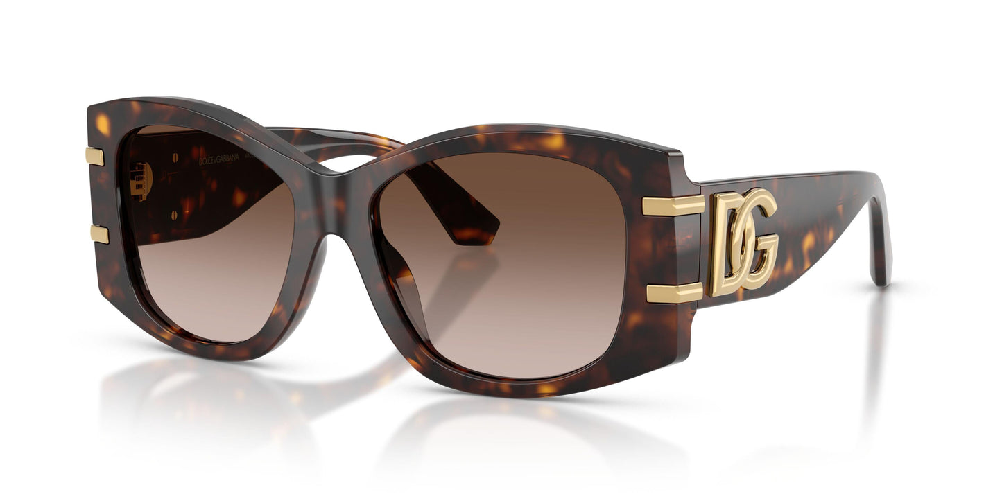 Dolse & Gabana  4501 Sunglasses
