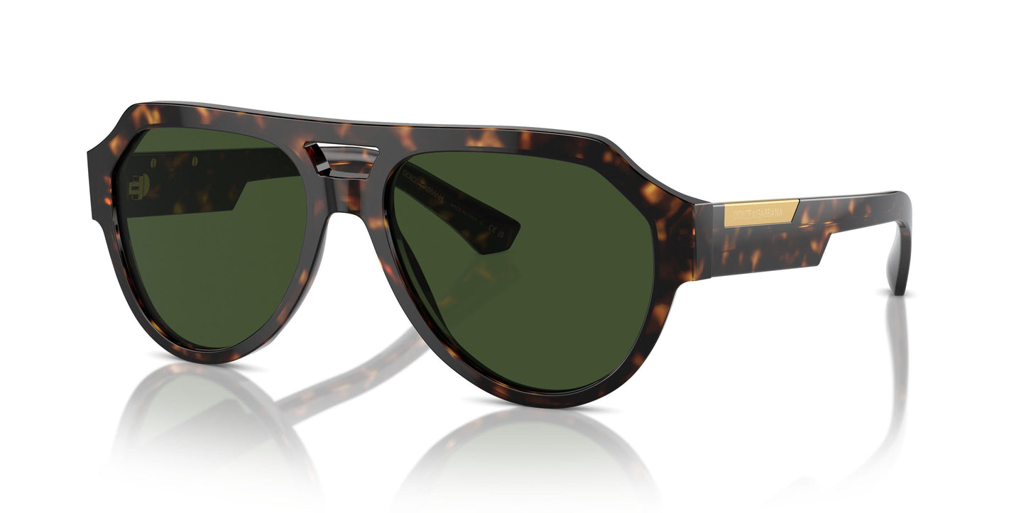 Dolse & Gabana  4466F Sunglasses