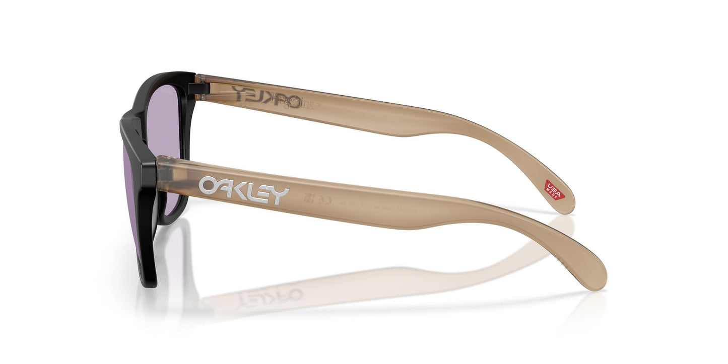 Oakley Frogskins 9245 Sunglasses