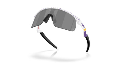 Oakley Resistor 9010 Sunglasses