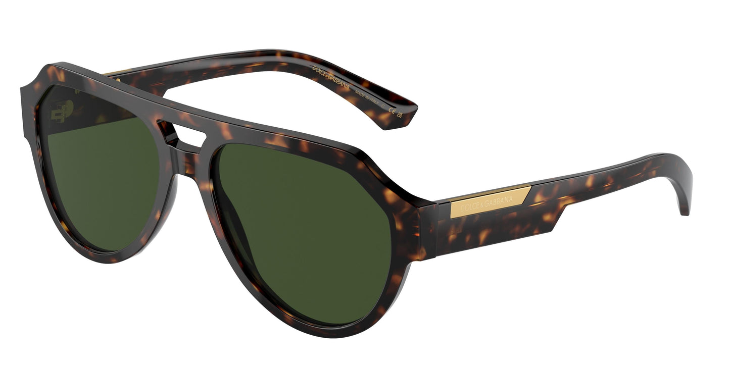 Dolse & Gabana  4466 Sunglasses
