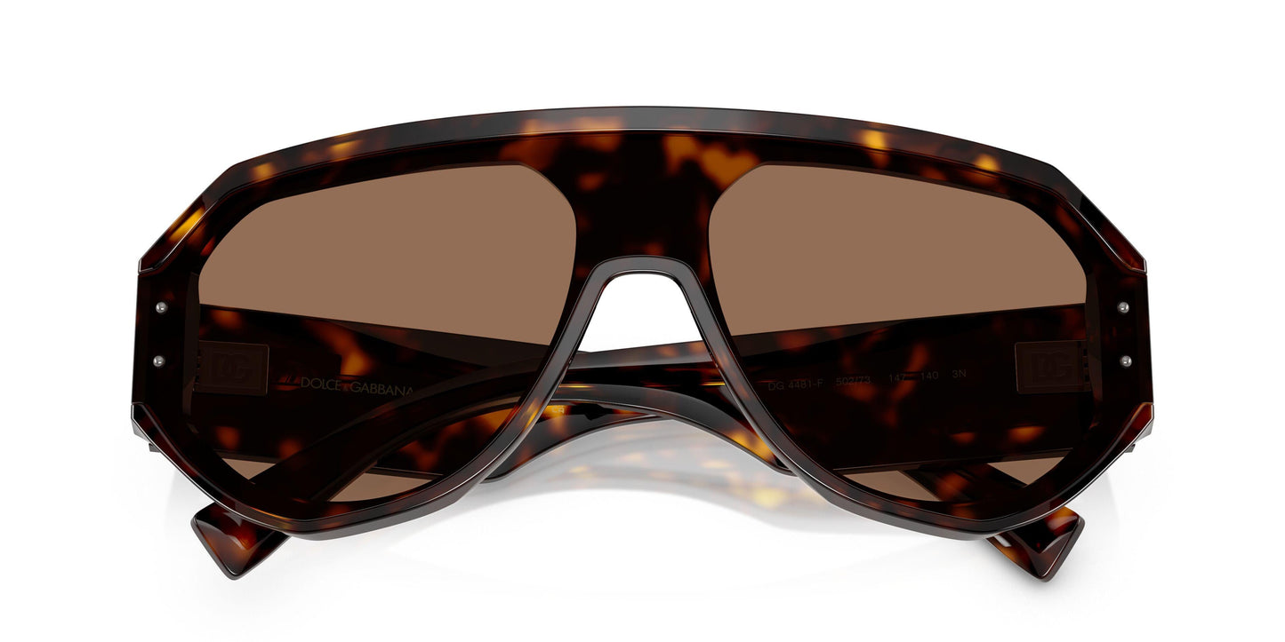 Dolse & Gabana  4481F Sunglasses
