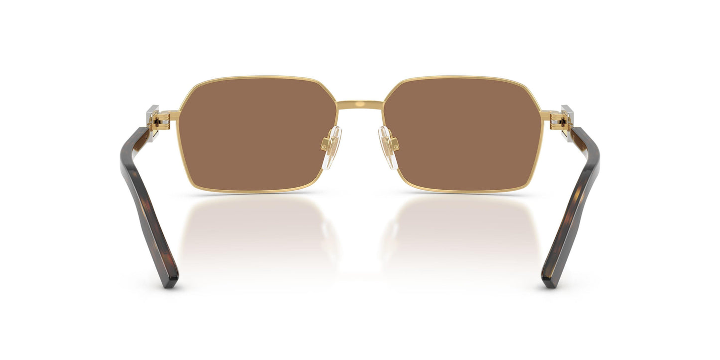 Dolse & Gabana  2316 Sunglasses