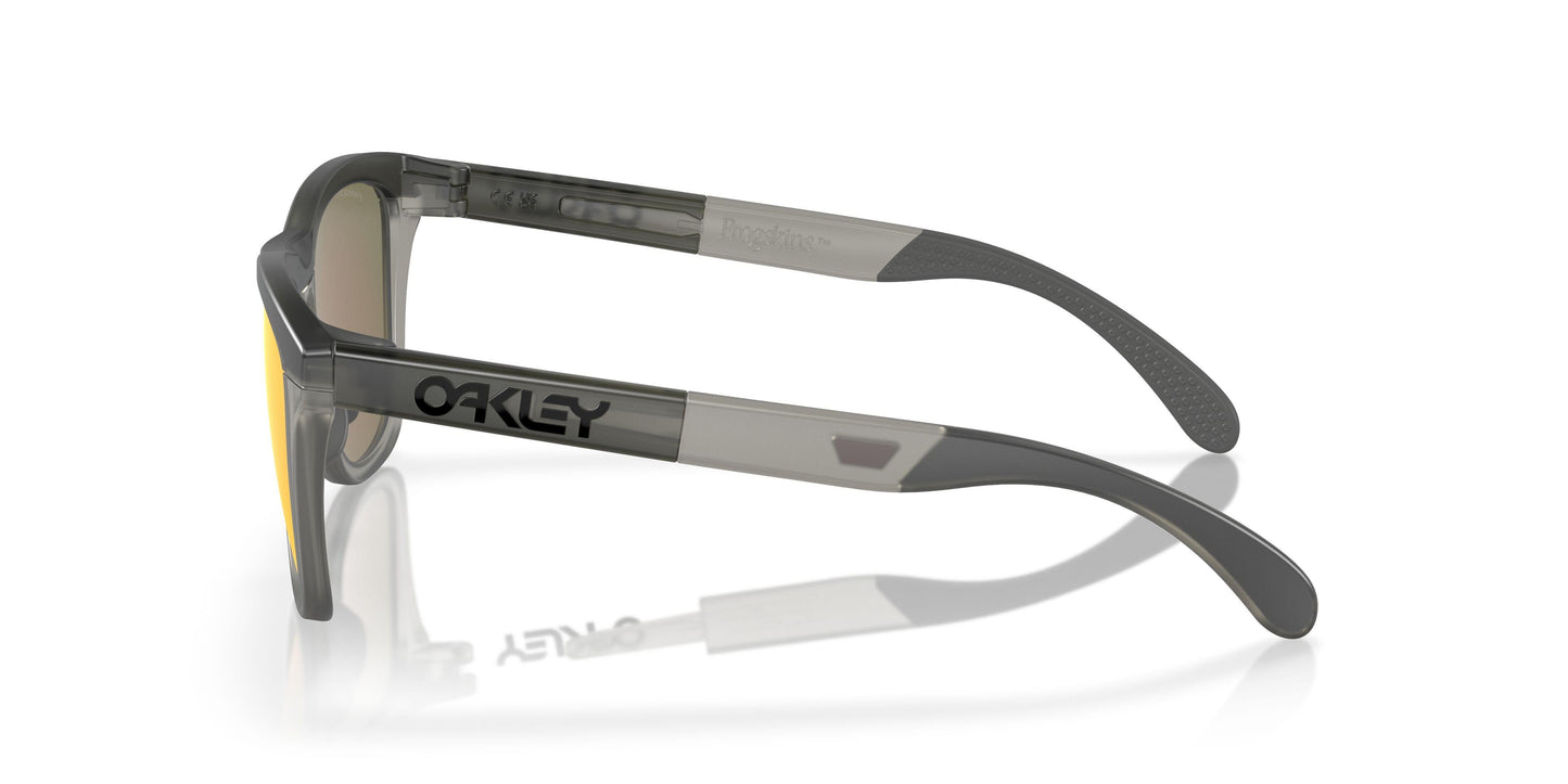 Oakley Frogskins Range A 9284A Sunglasses