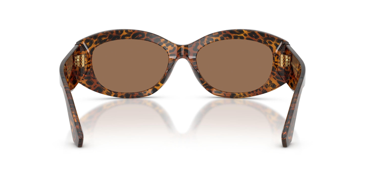 Dolse & Gabana  4502 Sunglasses